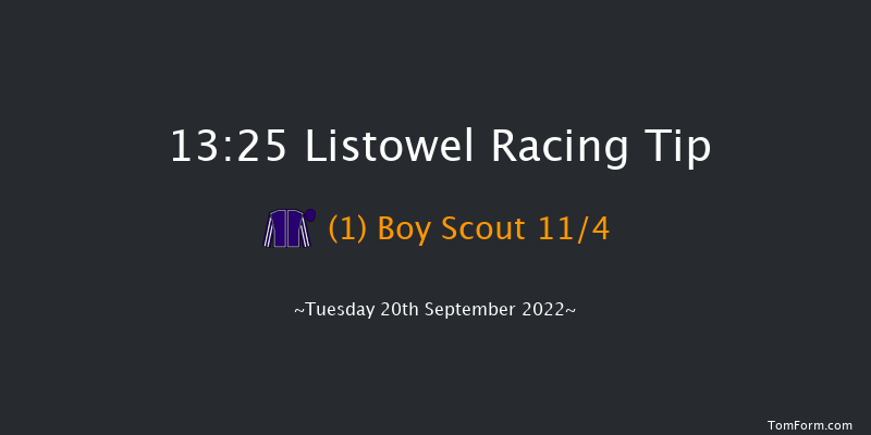 Listowel 13:25 Maiden 7f Mon 19th Sep 2022