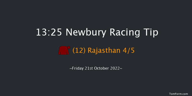 Newbury 13:25 Stakes (Class 4) 8f Sat 17th Sep 2022