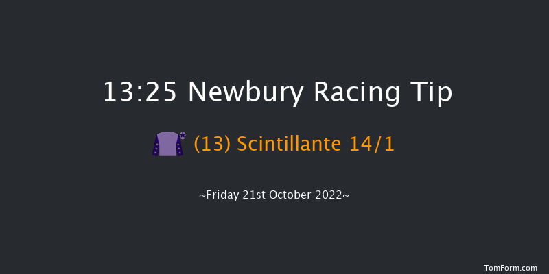 Newbury 13:25 Stakes (Class 4) 8f Sat 17th Sep 2022