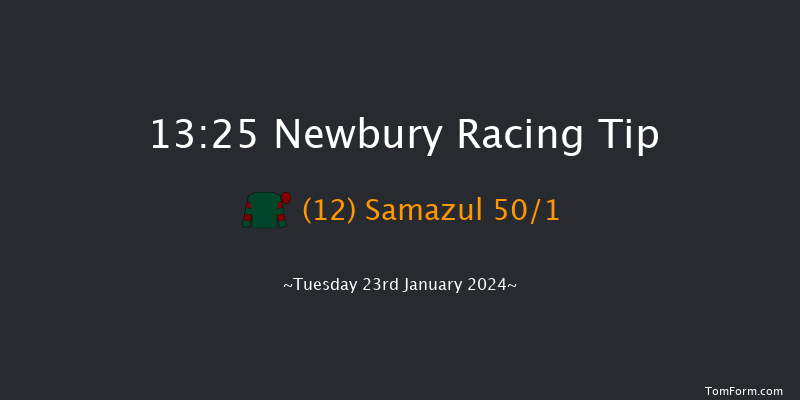 Newbury 13:25  Maiden Hurdle
(Class 3) 16f Sat 30th Dec 2023