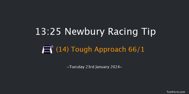 Newbury 13:25  Maiden Hurdle
(Class 3) 16f Sat 30th Dec 2023