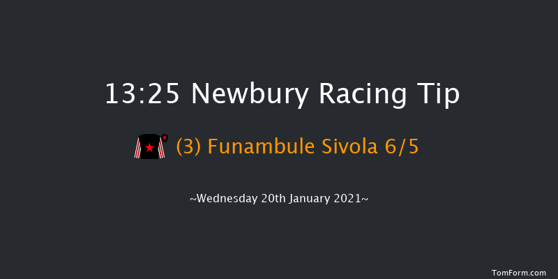 MansionBet's Watch And Bet Novices' Limited Handicap Chase (GBB Race) Newbury 13:25 Handicap Chase (Class 3) 16f Tue 29th Dec 2020