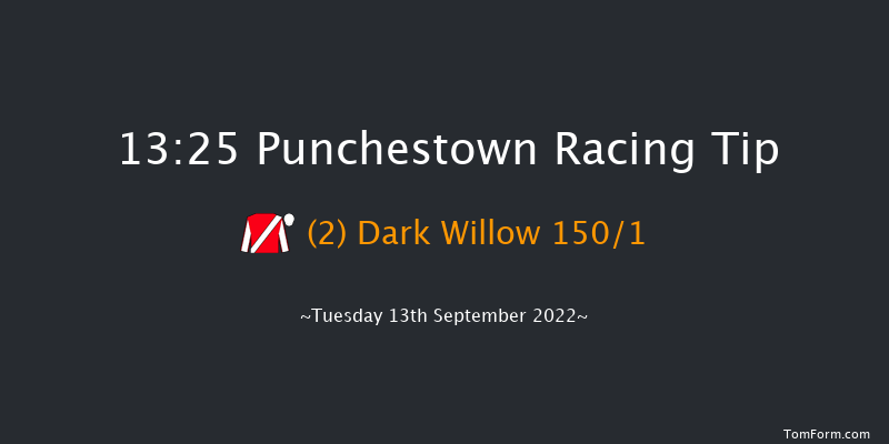 Punchestown 13:25 Maiden 7f Sun 29th May 2022