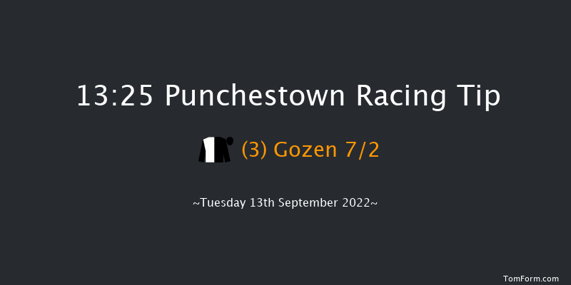 Punchestown 13:25 Maiden 7f Sun 29th May 2022