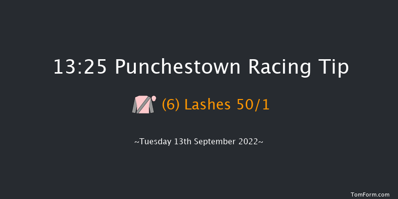 Punchestown 13:25 Maiden 7f Sun 29th May 2022