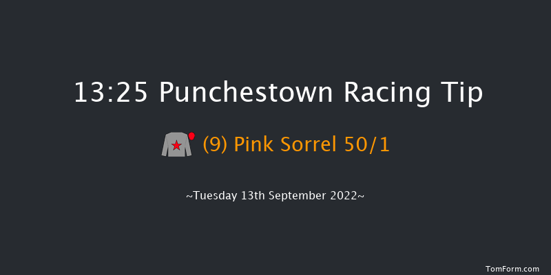 Punchestown 13:25 Maiden 7f Sun 29th May 2022