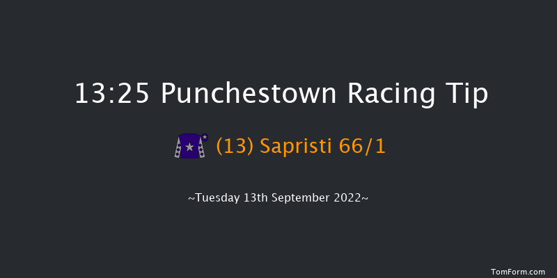 Punchestown 13:25 Maiden 7f Sun 29th May 2022