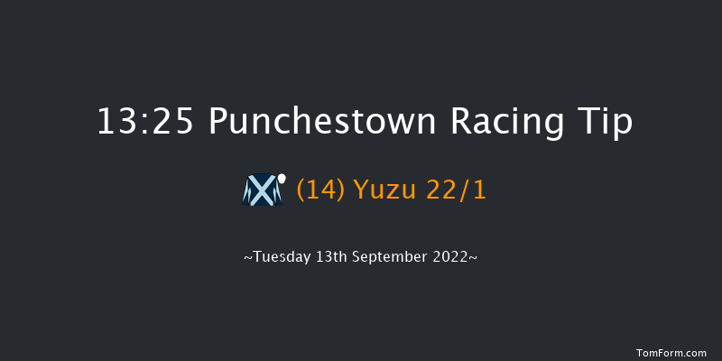 Punchestown 13:25 Maiden 7f Sun 29th May 2022