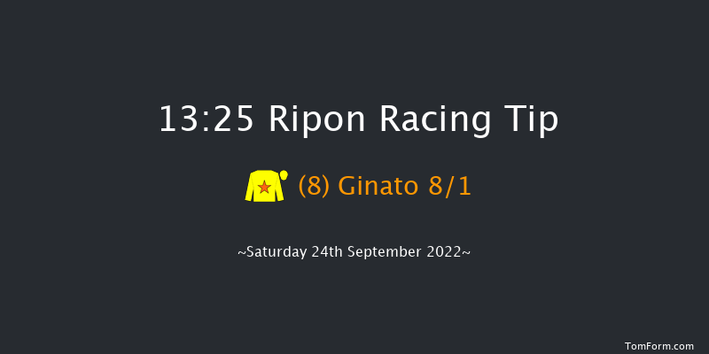 Ripon 13:25 Handicap (Class 6) 6f Tue 30th Aug 2022