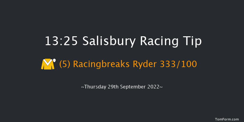 Salisbury 13:25 Stakes (Class 4) 8f Thu 1st Sep 2022