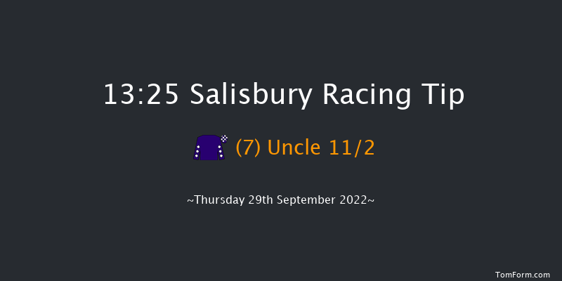 Salisbury 13:25 Stakes (Class 4) 8f Thu 1st Sep 2022