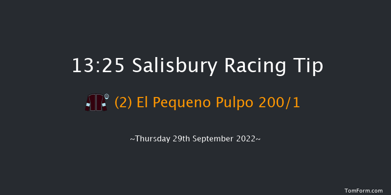 Salisbury 13:25 Stakes (Class 4) 8f Thu 1st Sep 2022