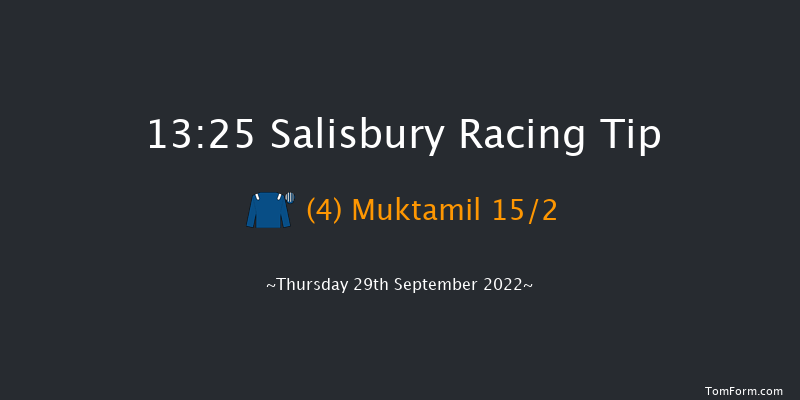 Salisbury 13:25 Stakes (Class 4) 8f Thu 1st Sep 2022