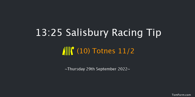 Salisbury 13:25 Stakes (Class 4) 8f Thu 1st Sep 2022