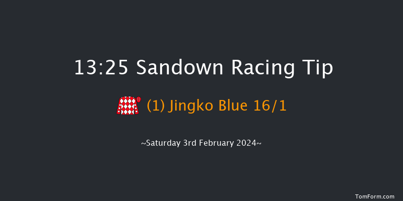 Sandown  13:25 Handicap Hurdle (Class 3)
20f Fri 26th Jan 2024