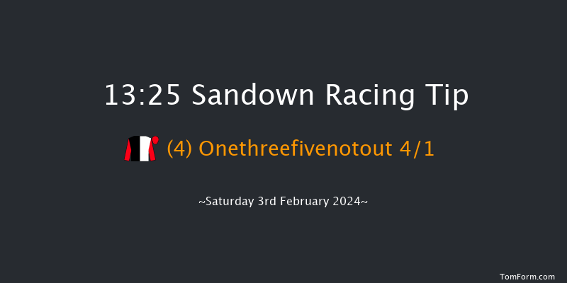 Sandown  13:25 Handicap Hurdle (Class 3)
20f Fri 26th Jan 2024