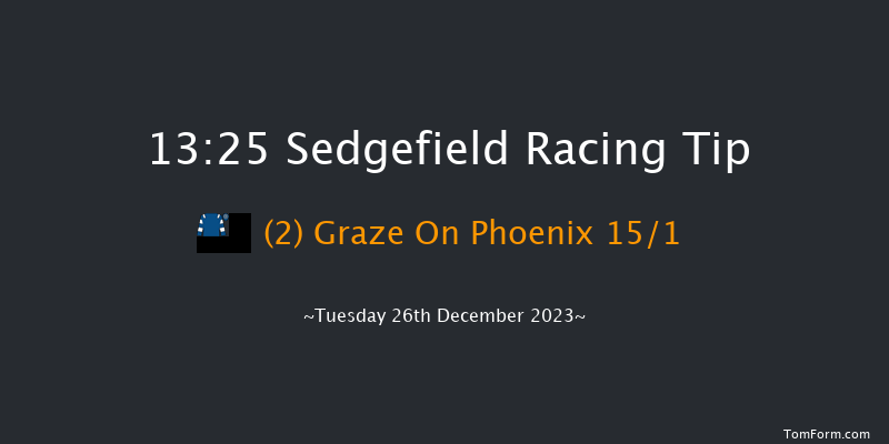 Sedgefield 13:25 Maiden Hurdle (Class 4) 17f Fri 8th Dec 2023