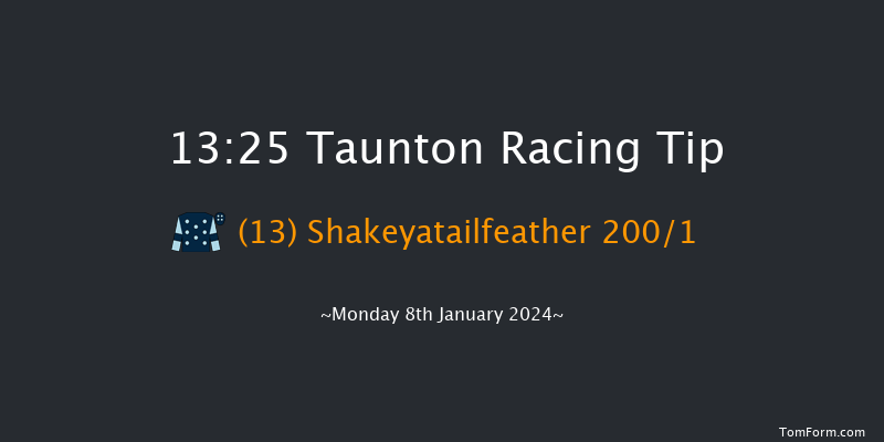 Taunton 13:25 Maiden Hurdle (Class 4) 16f Sat 30th Dec 2023