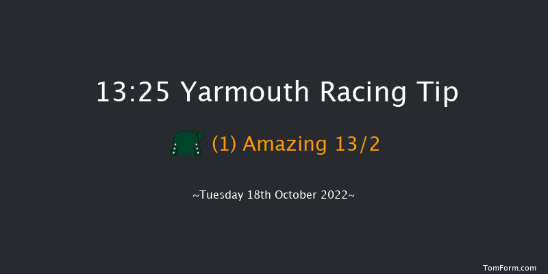 Yarmouth 13:25 Stakes (Class 4) 8f Mon 10th Oct 2022