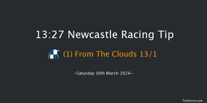 Newcastle  13:27 Novices Hurdle (Class 4)
17f Fri 15th Mar 2024