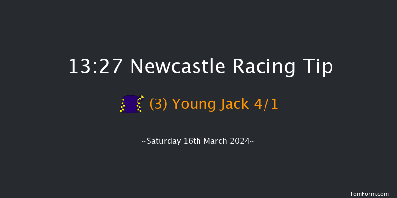 Newcastle  13:27 Novices Hurdle (Class 4)
17f Fri 15th Mar 2024