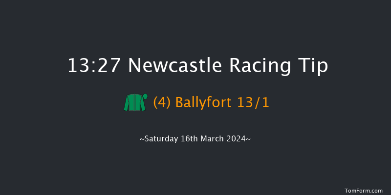 Newcastle  13:27 Novices Hurdle (Class 4)
17f Fri 15th Mar 2024