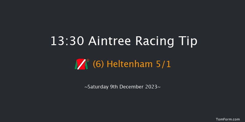 Aintree 13:30 Handicap Chase (Class 2) 20f Sat 11th Nov 2023