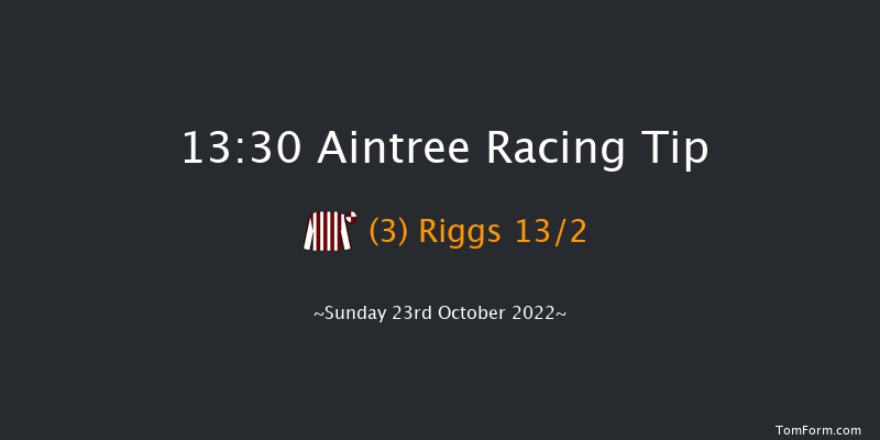 Aintree 13:30 Handicap Hurdle (Class 3) 25f Fri 10th Jun 2022