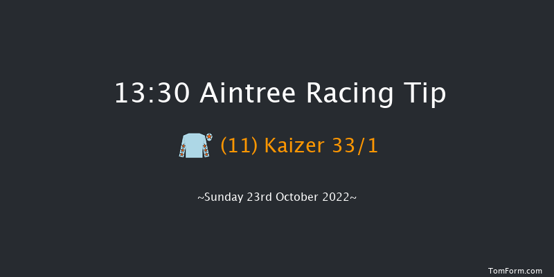 Aintree 13:30 Handicap Hurdle (Class 3) 25f Fri 10th Jun 2022