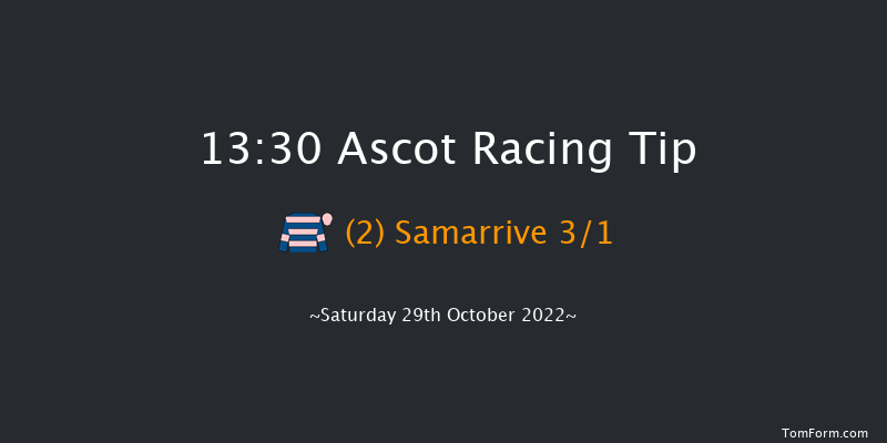 Ascot 13:30 Handicap Chase (Class 3) 19f Sat 15th Oct 2022