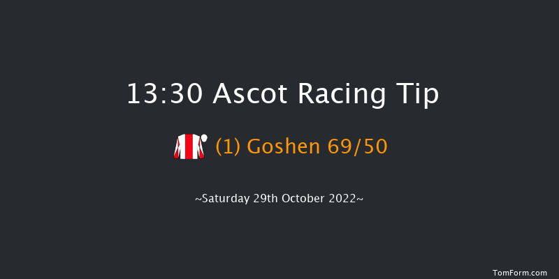 Ascot 13:30 Handicap Chase (Class 3) 19f Sat 15th Oct 2022