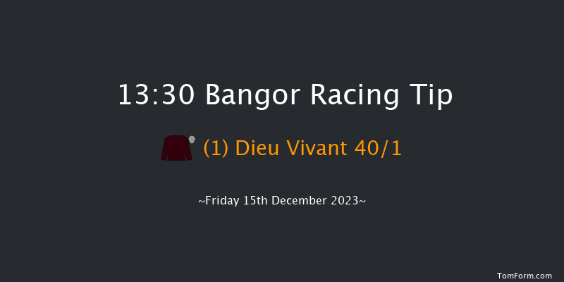 Bangor 13:30 Handicap Chase (Class 3) 24f Sat 2nd Dec 2023