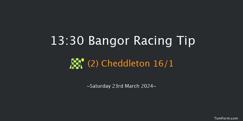 Bangor-on-dee  13:30 Handicap Hurdle (Class
2) 20f Wed 28th Feb 2024