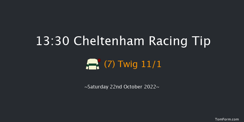 Cheltenham 13:30 Maiden Hurdle (Class 
2) 24f Fri 21st Oct 2022