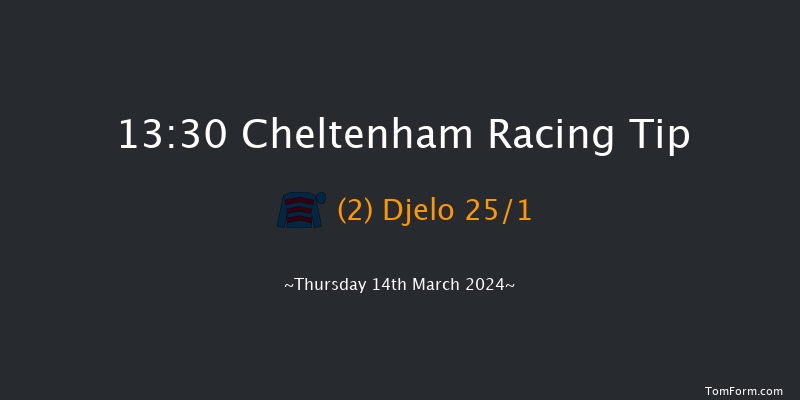 Cheltenham  13:30 Maiden Chase
(Class 1) 20f Wed 13th Mar 2024