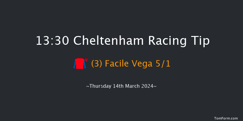 Cheltenham  13:30 Maiden Chase
(Class 1) 20f Wed 13th Mar 2024