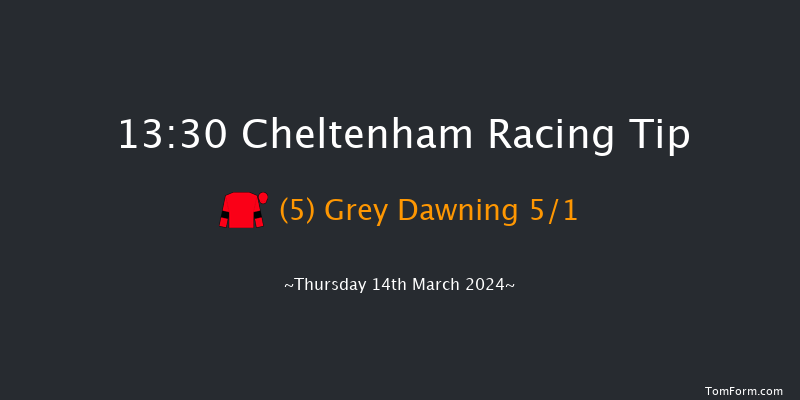 Cheltenham  13:30 Maiden Chase
(Class 1) 20f Wed 13th Mar 2024