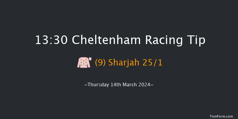 Cheltenham  13:30 Maiden Chase
(Class 1) 20f Wed 13th Mar 2024