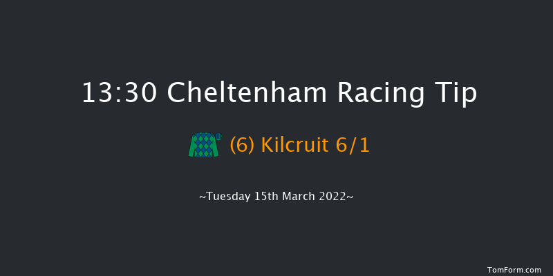 Cheltenham 13:30 Novices Hurdle (Class 1) 16f Sat 29th Jan 2022