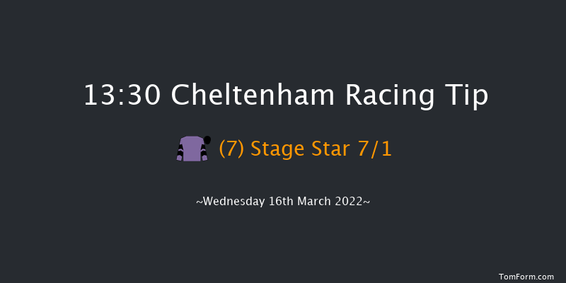 Cheltenham 13:30 Novices Hurdle (Class 1) 21f Tue 15th Mar 2022