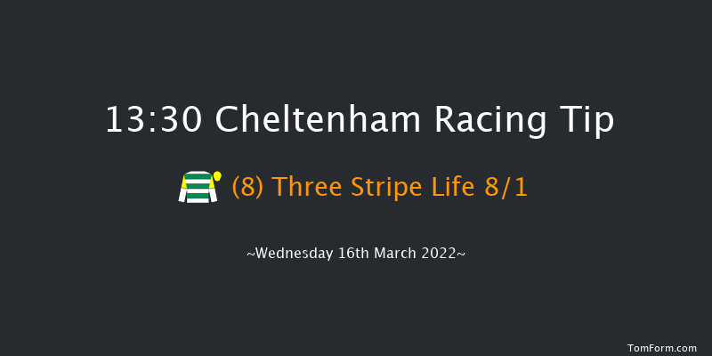 Cheltenham 13:30 Novices Hurdle (Class 1) 21f Tue 15th Mar 2022