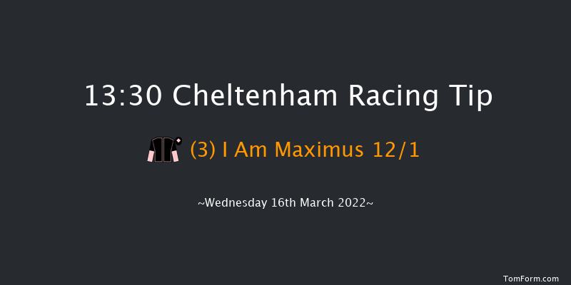 Cheltenham 13:30 Novices Hurdle (Class 1) 21f Tue 15th Mar 2022