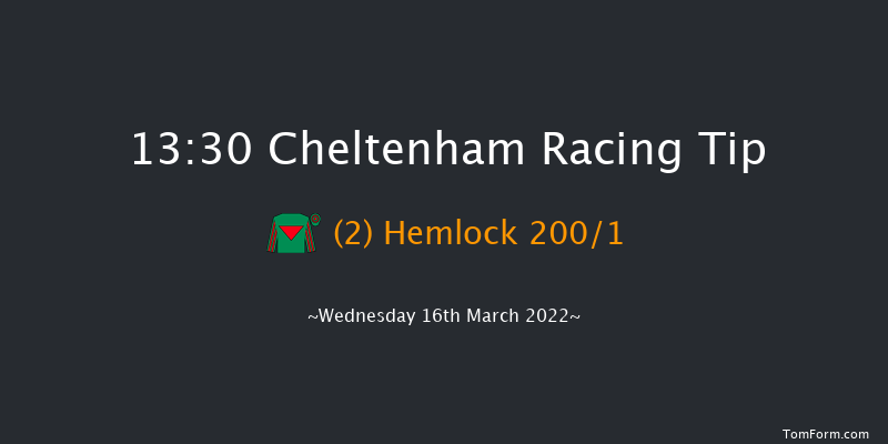 Cheltenham 13:30 Novices Hurdle (Class 1) 21f Tue 15th Mar 2022