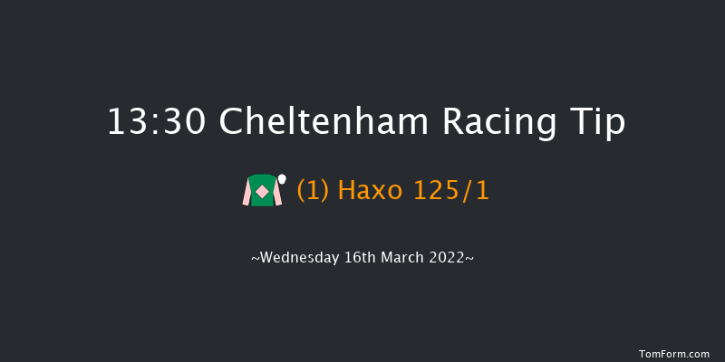 Cheltenham 13:30 Novices Hurdle (Class 1) 21f Tue 15th Mar 2022