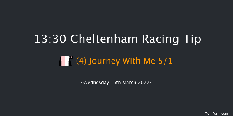 Cheltenham 13:30 Novices Hurdle (Class 1) 21f Tue 15th Mar 2022