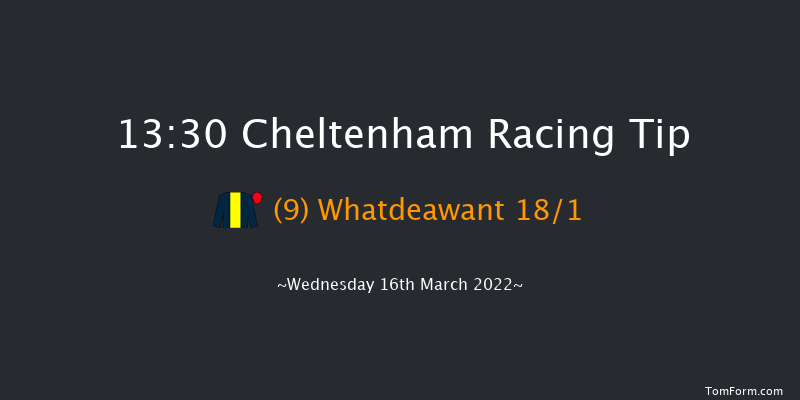 Cheltenham 13:30 Novices Hurdle (Class 1) 21f Tue 15th Mar 2022