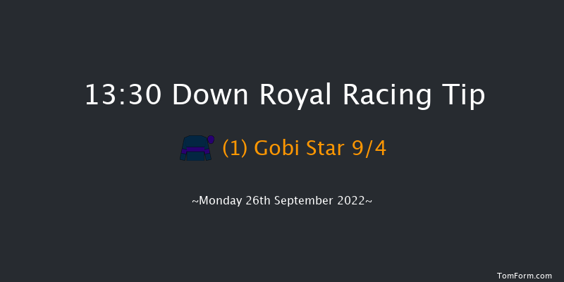 Down Royal 13:30 Maiden 5f Fri 2nd Sep 2022