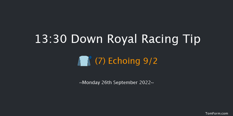 Down Royal 13:30 Maiden 5f Fri 2nd Sep 2022