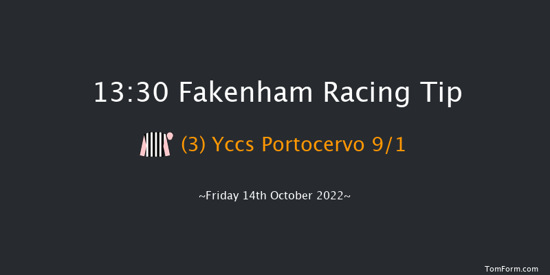 Fakenham 13:30 Handicap Hurdle (Class 4) 20f Sun 22nd May 2022