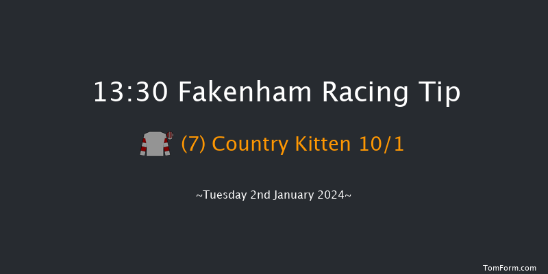 Fakenham 13:30 Handicap Chase (Class 5) 24f Tue 19th Dec 2023